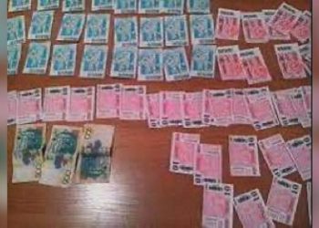 Несуществующие талоны на ГСМ на 2 млн тенге реализовал семейчанин