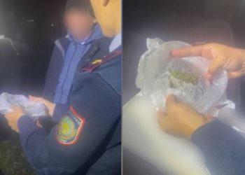 Полицейские обнаружили марихуану у пассажира авто в Туркестанской области