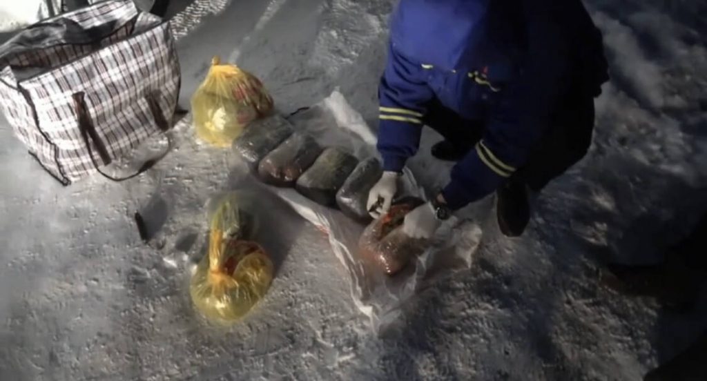 Служебная собака помогла найти 10 кг марихуаны в Актобе