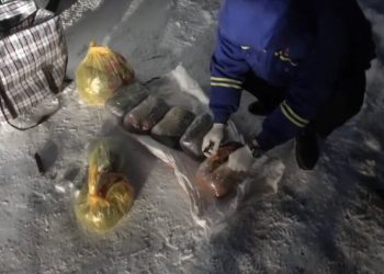 Служебная собака помогла найти 10 кг марихуаны в Актобе