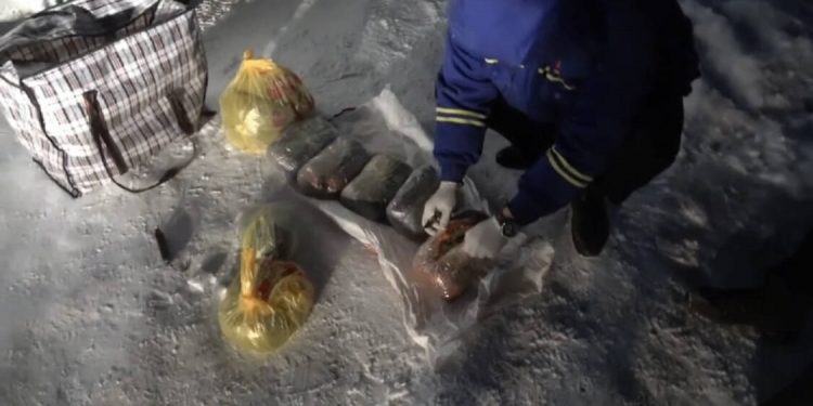 Служебная собака помогла найти 10 кг марихуаны в Актобе