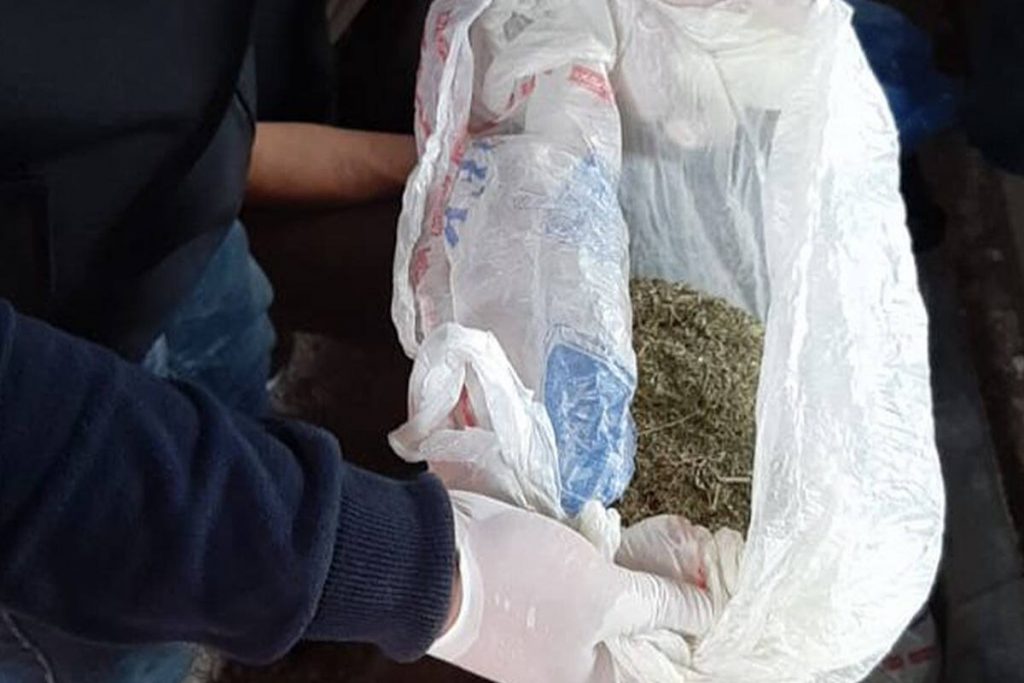 Свыше килограмма наркотиков изъяли полицейские в доме жителя СКО
