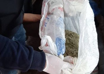 Свыше килограмма наркотиков изъяли полицейские в доме жителя СКО
