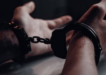 8 уголовных преступников задержали казахстанские полицейские совместно с турецкими коллегами
