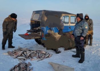 Более 120 кг незаконно добытой рыбы изъяли у браконьера в Жетісу