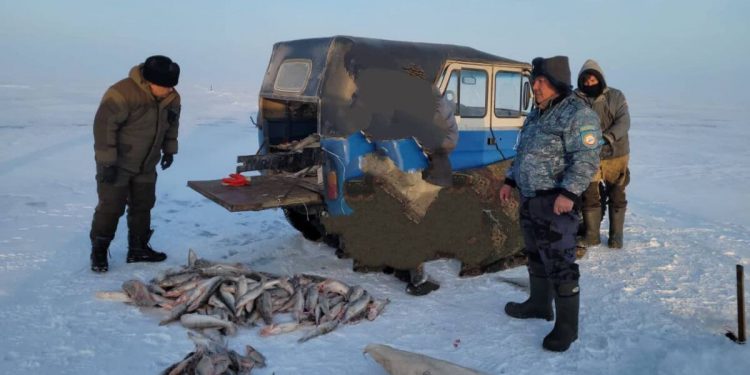 Более 120 кг незаконно добытой рыбы изъяли у браконьера в Жетісу