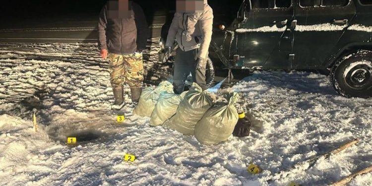Браконьера, перевозившего рыбу, задержали в Карагандинской области