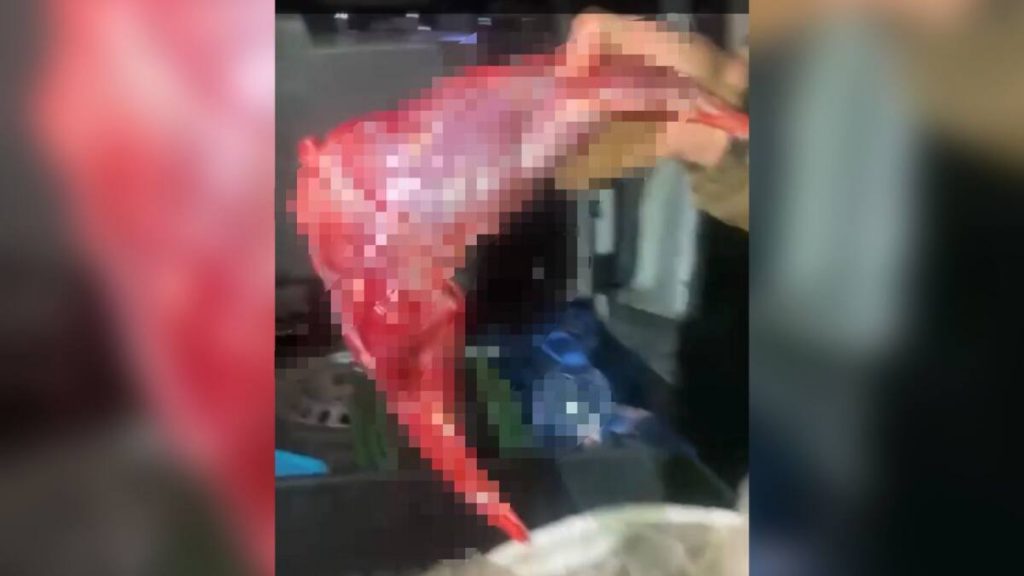 Браконьера с тушами зайцев задержали в области Абай