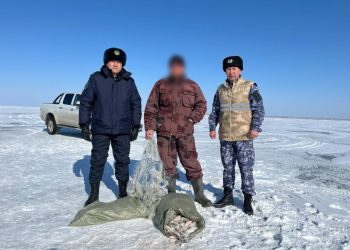 Браконьера во время незаконной ловли рыбы задержали полицейские в Жетісу
