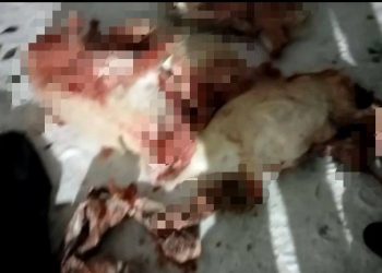 Браконьеров задержали патрульные полицейские в ЗКО