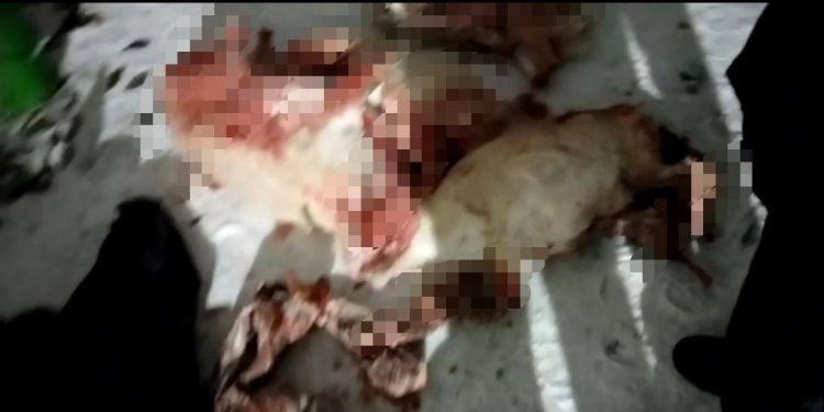 Браконьеров задержали патрульные полицейские в ЗКО