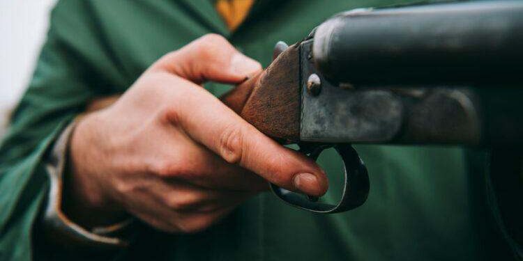 Два факта отстрела сибирских косуль расследует полиция в Акмолинской области