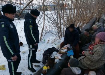 Какие правонарушения чаще всего допускают петропавловцы