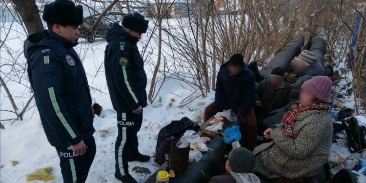 Какие правонарушения чаще всего допускают петропавловцы