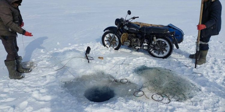 Мотоцикл с браконьерами задержали полицейские в Карагандинской области