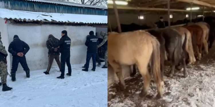 Подозреваемых в серии краж скота задержали в Туркестанской области