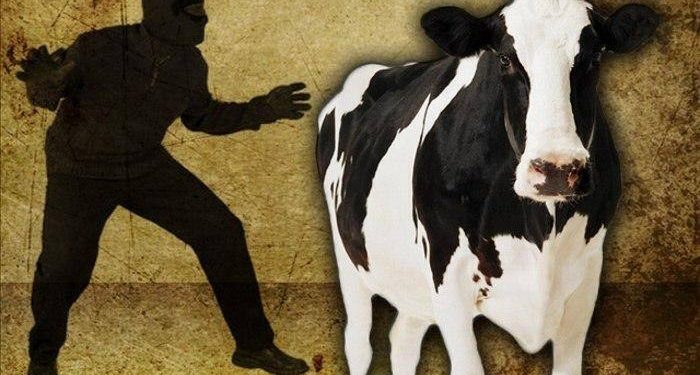 Полицейские нашли похищенный скот жителя Туркестанской области