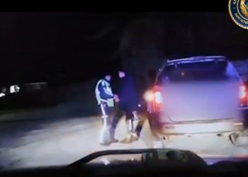 В Экибастузе наказали пьяных водителей