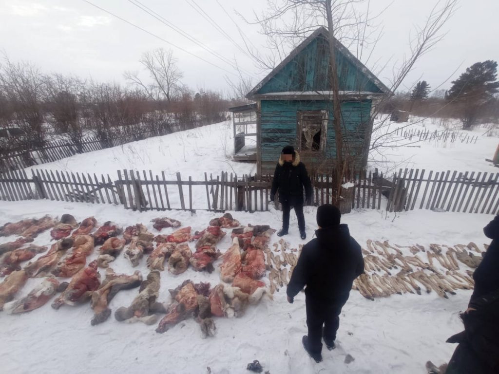 В СКО осуждена группа браконьеров, задержанных год назад