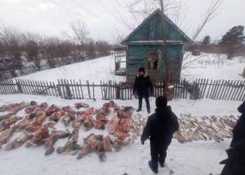 В СКО осуждена группа браконьеров, задержанных год назад