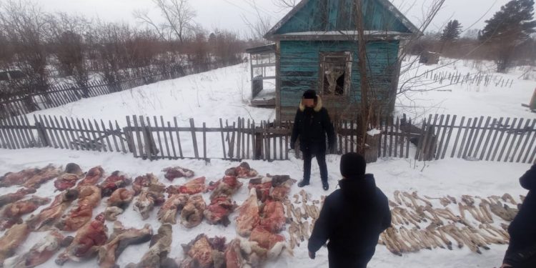 В СКО осуждена группа браконьеров, задержанных год назад