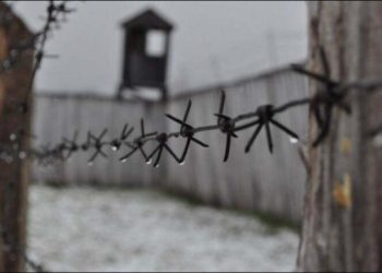 Женщина подделала свидетельство о браке, чтобы попасть на свидание в тюрьму