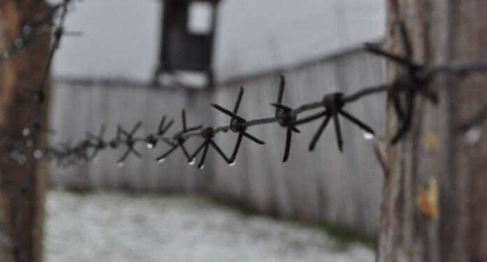 Женщина подделала свидетельство о браке, чтобы попасть на свидание в тюрьму