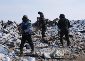 7 мигрантов нелегально работали на свалке в Петропавловске