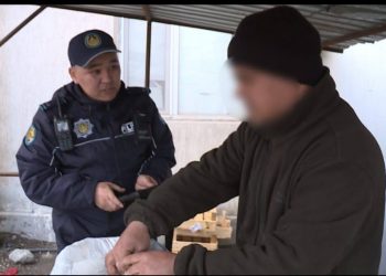 Более 100 кг табака изъяли в Туркестанской области