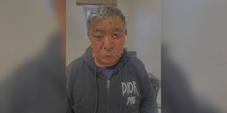 Мясо похищенной лошади перевозили трое подозреваемых в Алматинской области