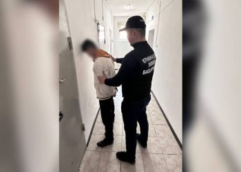 Пресечена деятельность скотокрадов в Туркестанской области