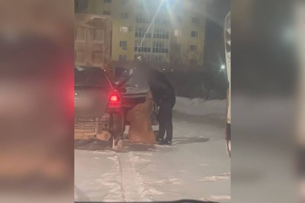 Пьяный водитель устроил ссору с супругой на дороге в Астане