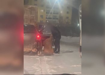 Пьяный водитель устроил ссору с супругой на дороге в Астане