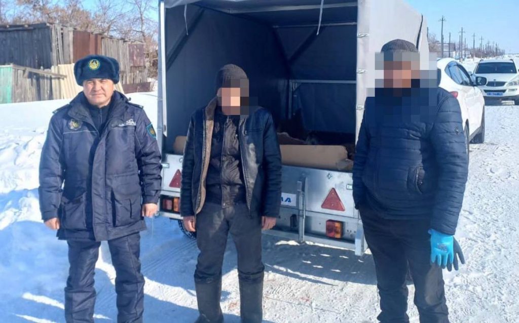 Сельский участковый оперативно раскрыл скотокрадство в Костанайской области