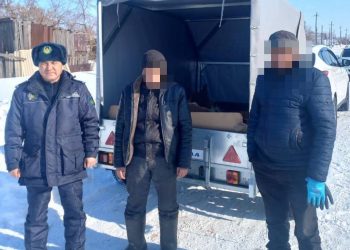 Сельский участковый оперативно раскрыл скотокрадство в Костанайской области