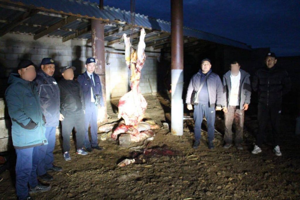 Кражу скота на 3 млн тенге раскрыли полицейские Алматинской области