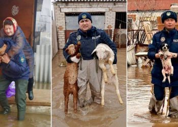 Более 3 тысяч граждан эвакуировали из зон подтопления полицейские ЗКО