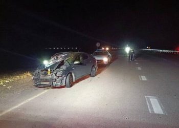 Бродячий скот спровоцировал дорожную аварию в Жетісу