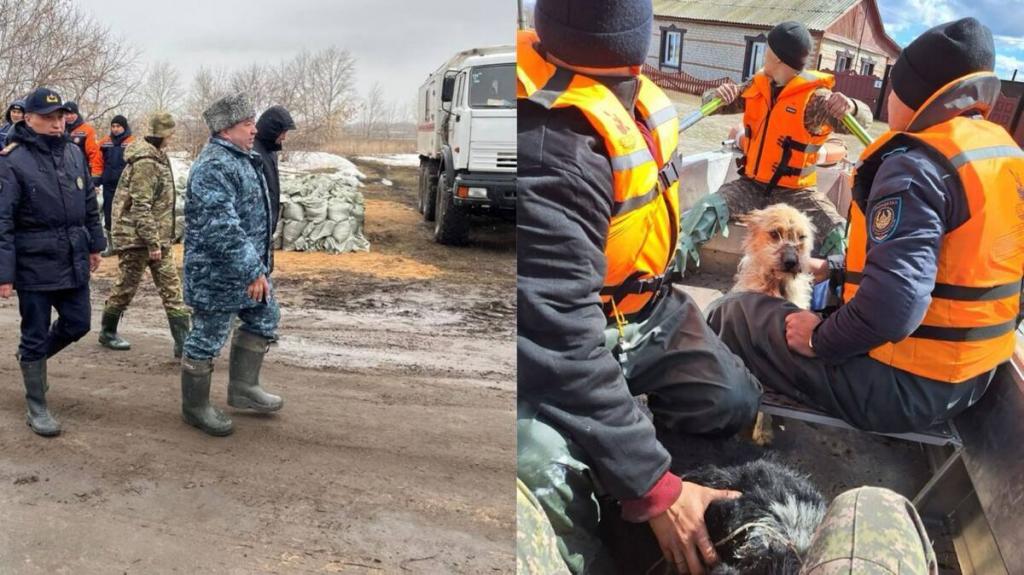 Маломобильная сельчанка поблагодарила полицейских за работу в период паводка в СКО