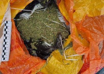 Марихуану изъяли полицейские у восточноказахстанца