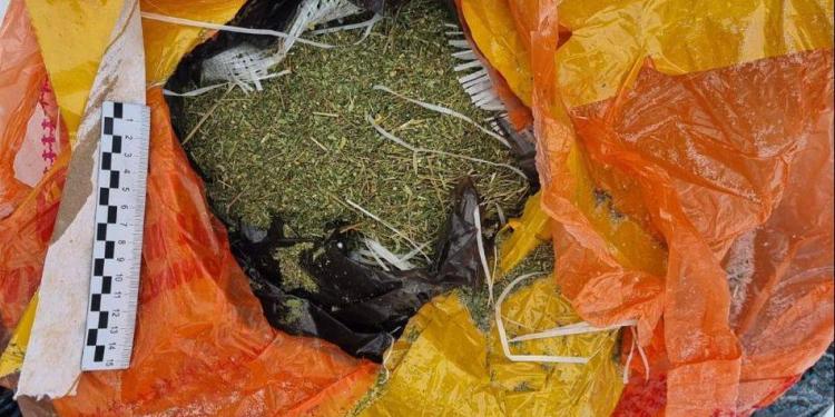Марихуану изъяли полицейские у восточноказахстанца