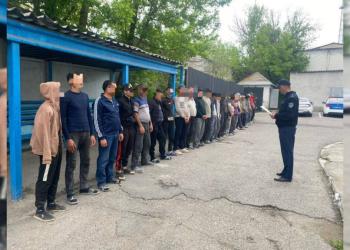 Нарушившие миграционное законодательство привлечены к ответственности в Шымкенте