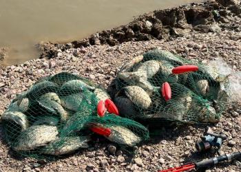 Полицейские привлекли 12 нарушителей правил рыболовства в зоне паводка в СКО