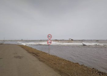 Полицейские временно изъяли ружья у охотников в зоне возможного подтопления в СКО