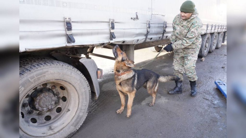 Рейды по выявлению наркотиков проводят полицейские в Костанае