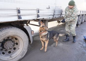 Рейды по выявлению наркотиков проводят полицейские в Костанае