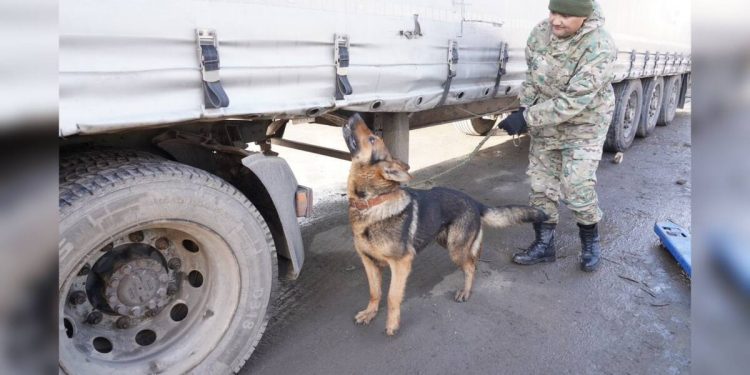 Рейды по выявлению наркотиков проводят полицейские в Костанае