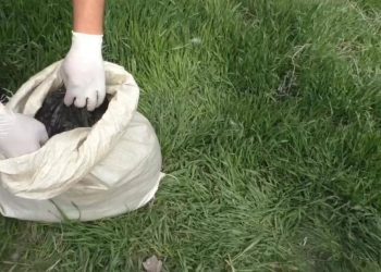 Гашиш на 5 млн тенге изъяли у жителя Жамбылской области