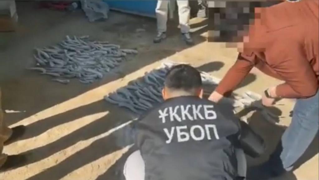 Группу браконьеров задержали полицейские в Туркестанской области