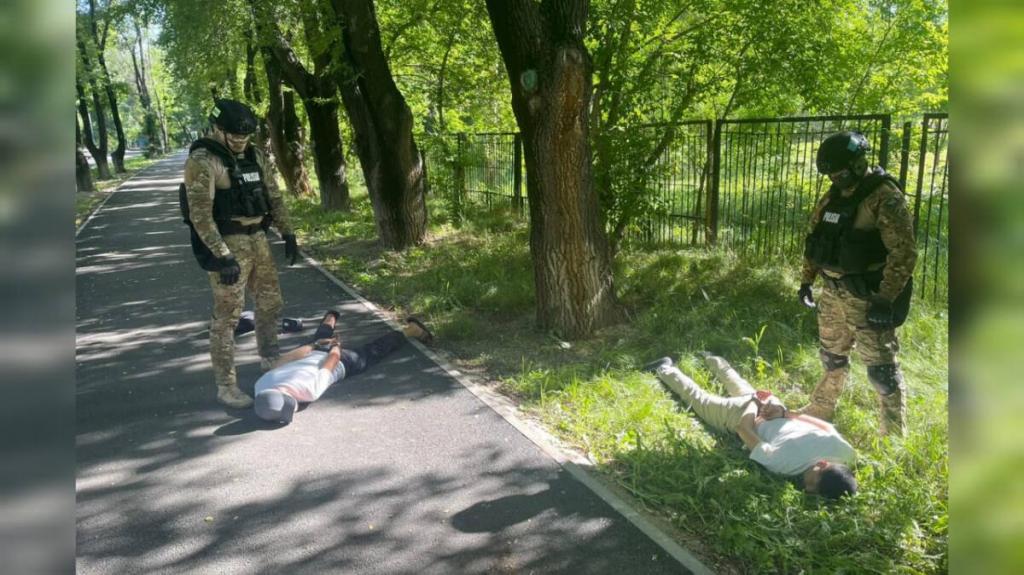 Дуэт домушников задержан полицией Алматы